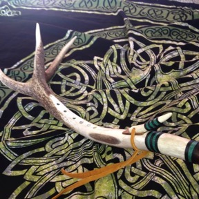 Single Elk Antler Shed  15