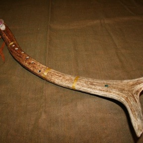 Single Elk Antler Shed  26 (1)